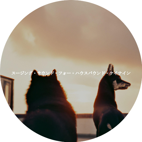 Saturday Morning Playlist