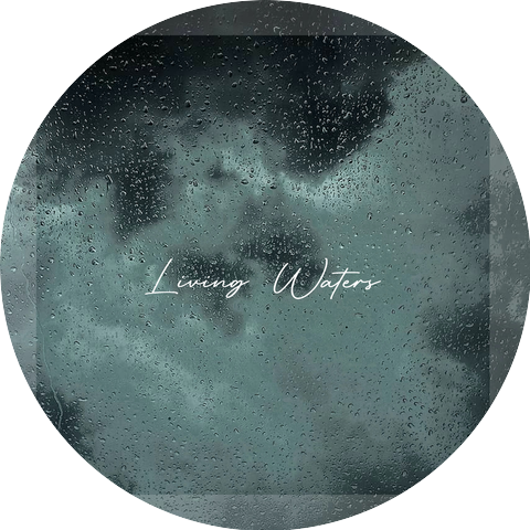 Water Skies