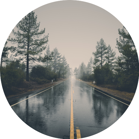 The Rain Guru