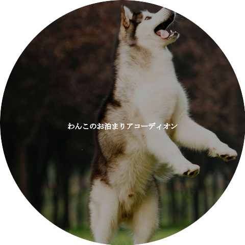 Cooking Background Music