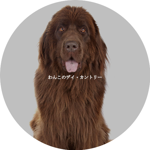 Restaurante Clásico Jazz