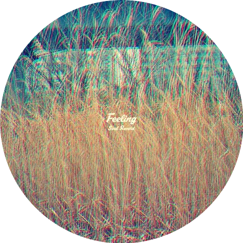 Soul Record