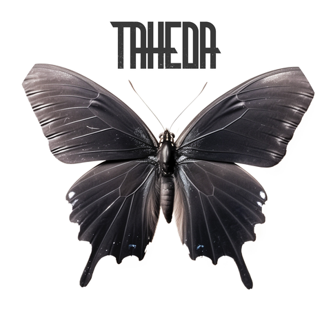 Taheda