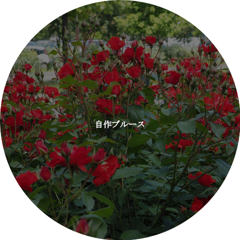 Cool Jazz Relaxation Radio