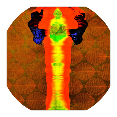 RAZAM a Iva Marešová