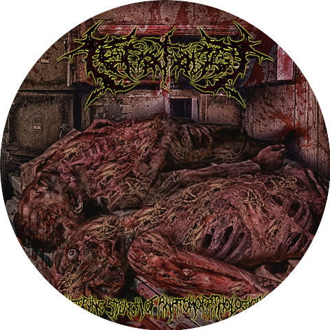 Teratology