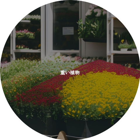 Office Background Music Playlists