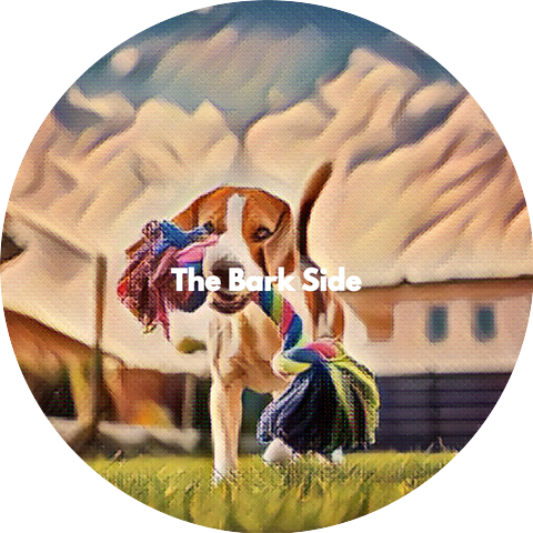 Morning Instrumental Jazz