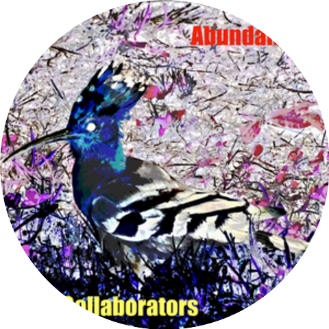 The Collaborators