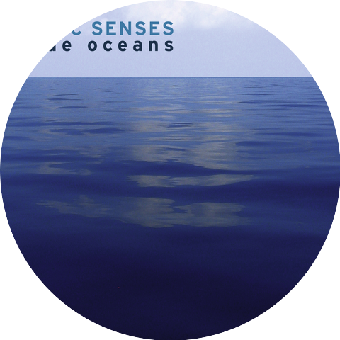Sonic Senses