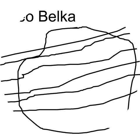 Leo Belka
