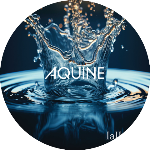AQUINE