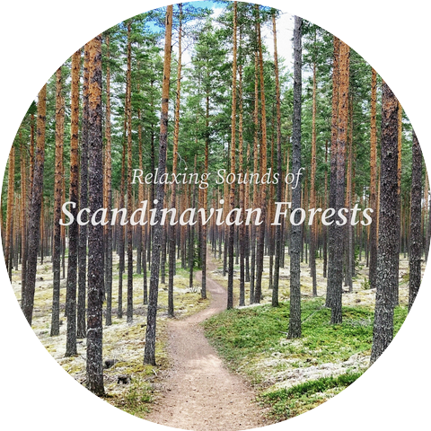 Nordic Wilderness