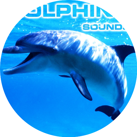 Dolphins Sounds