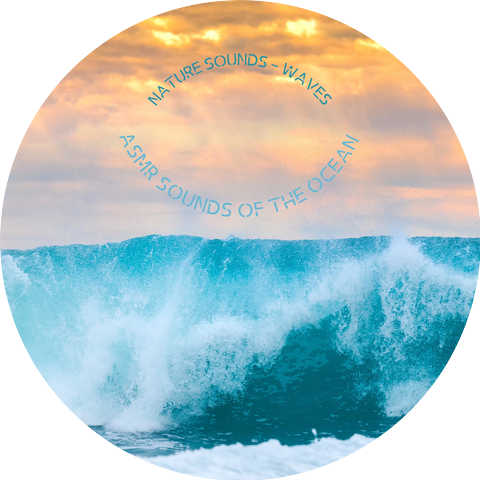 ASMR Sounds of the Ocean
