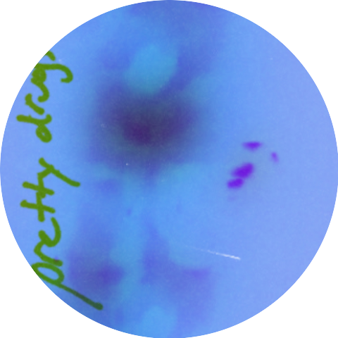 dapurr