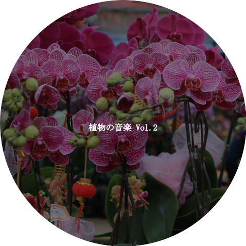 Restaurante Jazz Colecciones