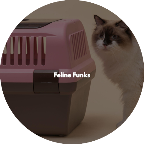 Frühstücksmusik Klassiker