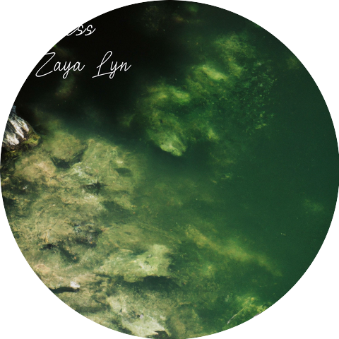 Zaya Lyn