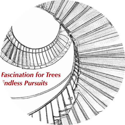 Fascination for Trees