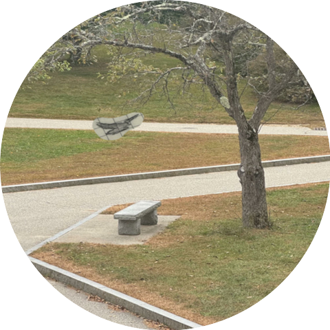 aftermath of dolonia