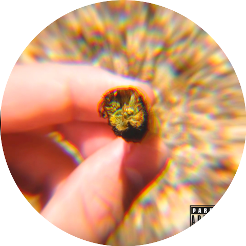 oKief & MESIAC