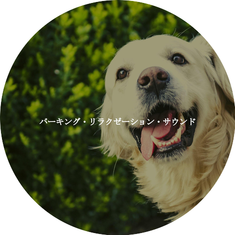 Acoustic Study Music Beats