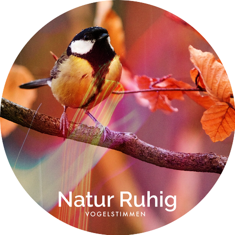 Vogelstimmen