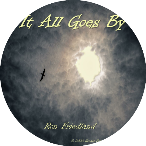 Ron Friedland