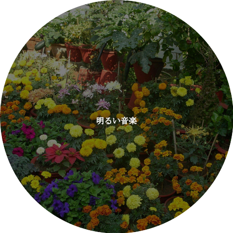 Música para Tiendas De Lujo