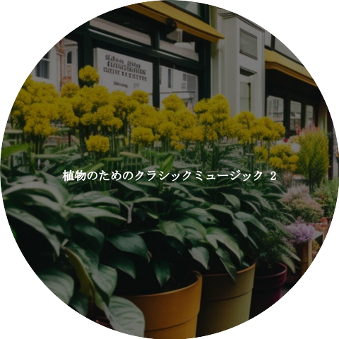 New York Restaurant Jazz