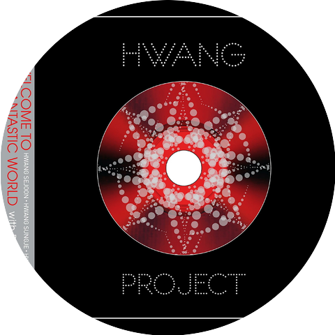 Park Hyo Shin,Hwang Project