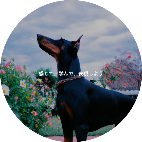 Musica Jazz di Sottofondo