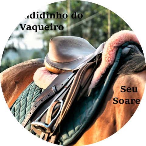 Seu Soares