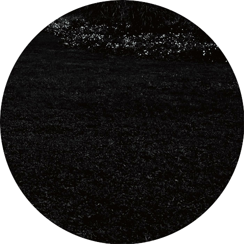 Bugs of Phonon