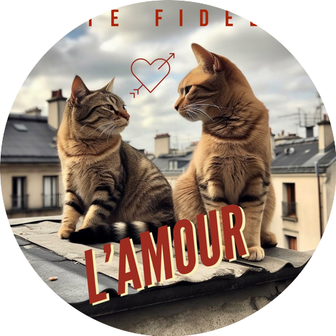 Haute Fidélité