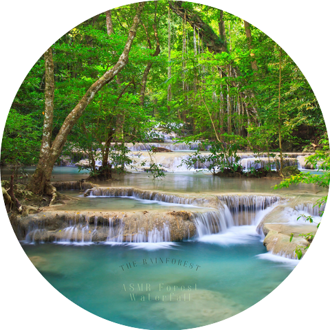 ASMR Forest Waterfall