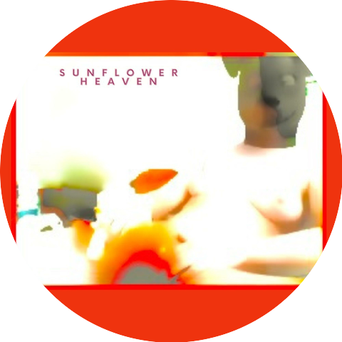 Sunflower Heaven