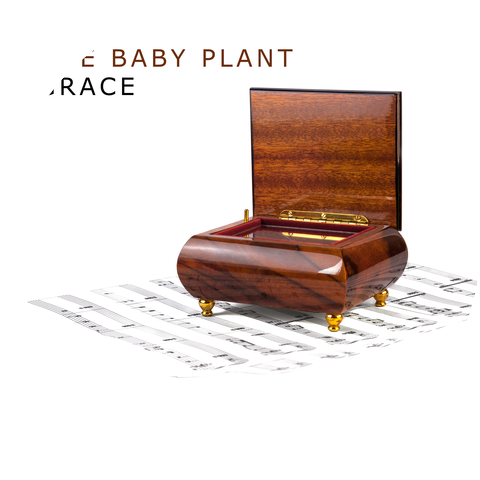 The Baby Plant