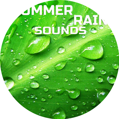 Summer Rain Sounds