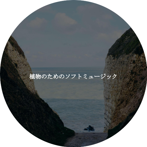 Sunday Morning Jazz Radio