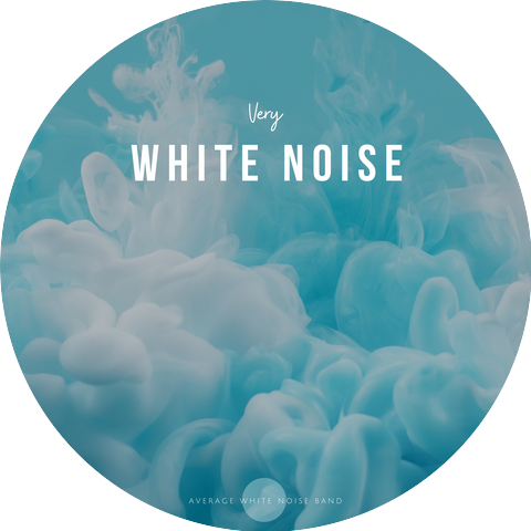 Average White Noise Band