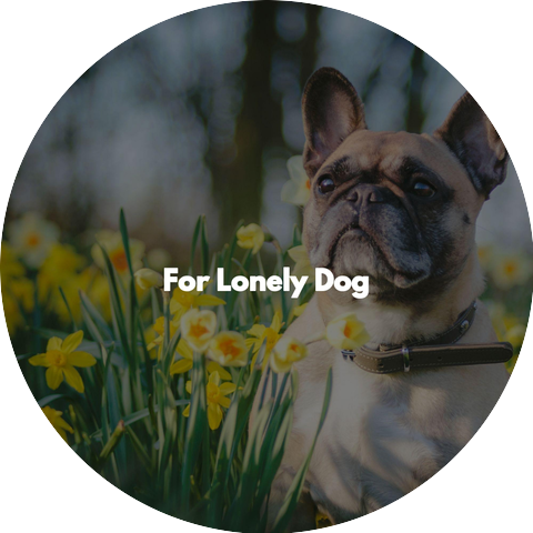 Chic Hotel Lobby Music