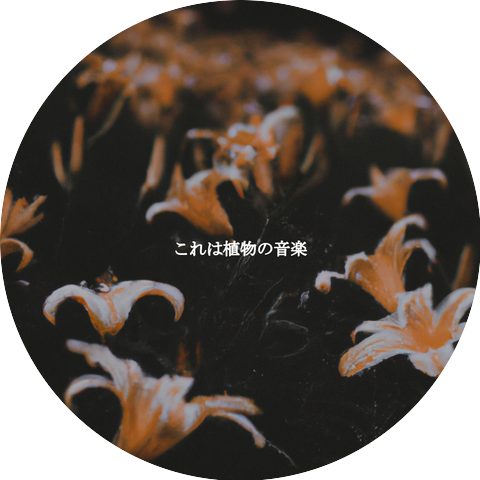 Mellow Guitar Music