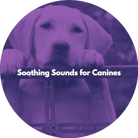 Musica para Hoteles Ambiente