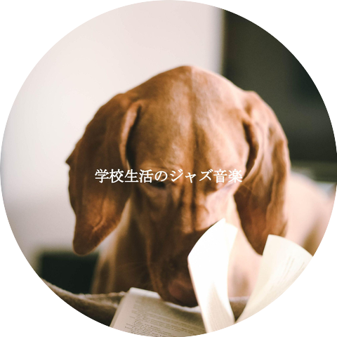 Manhattan Hotel Lounge