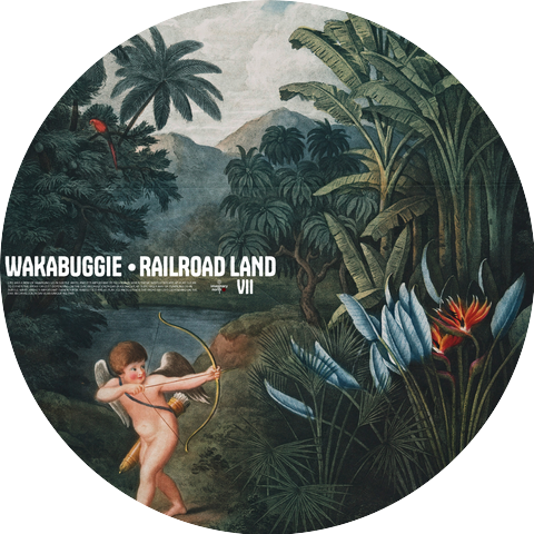 Wakabuggie