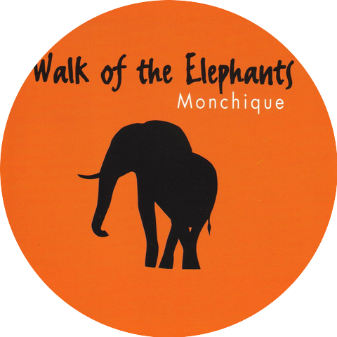 Walk Of The Elephants