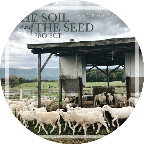 The Soil and The Seed Project