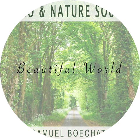 Samuel Boechat